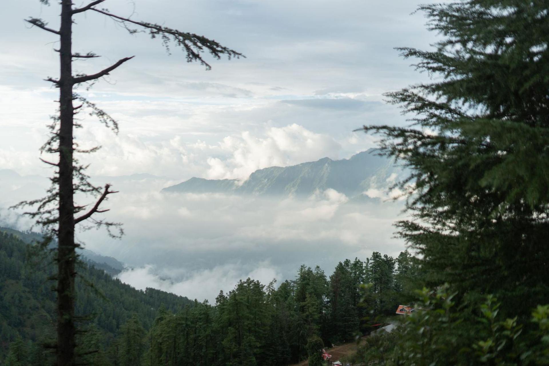 Stayvista At Wood House Retreat Shimla Exterior foto